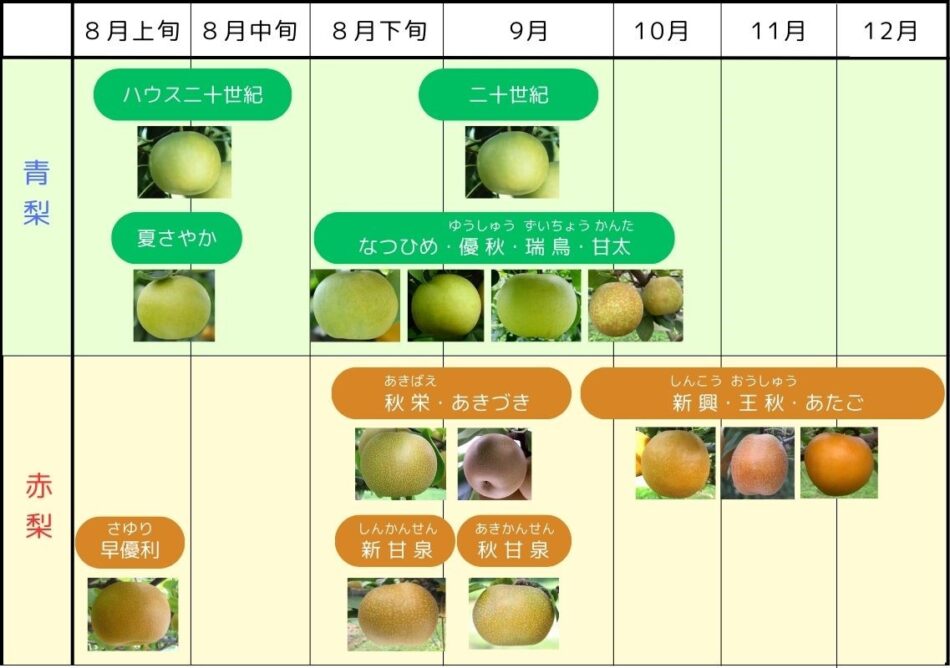 品種別成育スケジュール