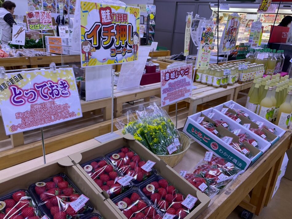 いちご入荷しました！